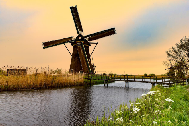 荷兰留学之本科、硕士留学精英申请项目