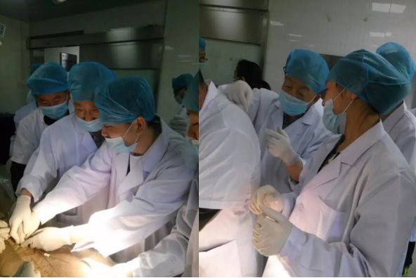 北京中康疼痛康复医学技术培训中心