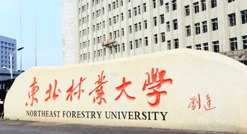 小自考东北林业大学专本科助学加分学位有保障